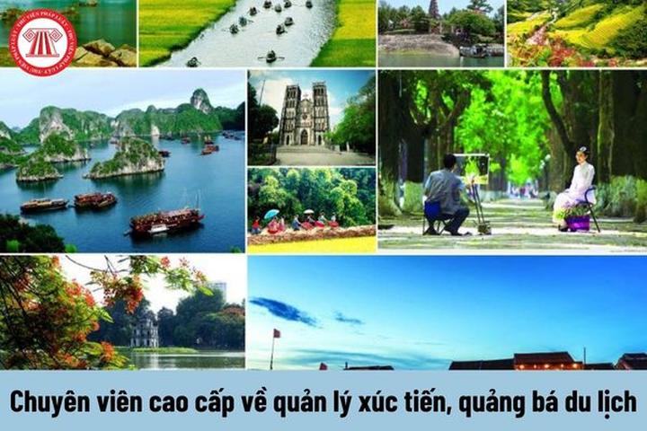 Cách Khởi Nghiệp Kiếm Tiền Bán Thời Gian Dành Cho Người Mới_Công ty truyền thông Trung Quốc
