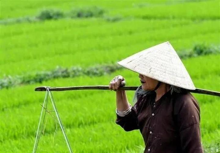 Chính sách đại lý của Hotspot Matrix: Cơ hội hợp tác bền vững trong ngành video ngắn_Entrepreneurship